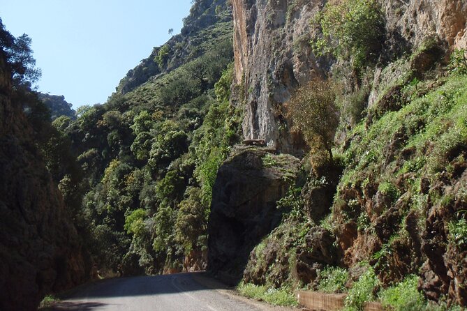 Chania Old Town and Cretan Landscape Tour (price per group of 6) - Ntounias wood-fire lunch, farm option, and why this is the real payoff
