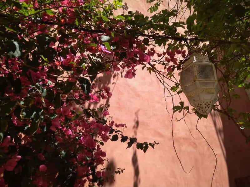 Chania Old Town: Vegetarian Food & Sightseeing Walking Tour - Price and value: what you get for $153 in a 4-hour format