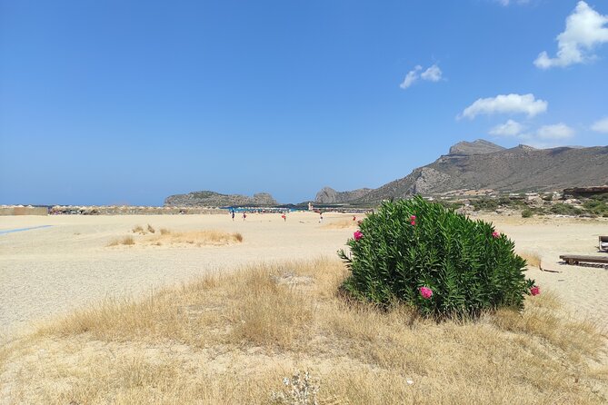 Chania Pink Beaches Private Tour: Elafonisi & Falassarna - Elafonissi Beach: pink sand, shallow water, and real swimming time