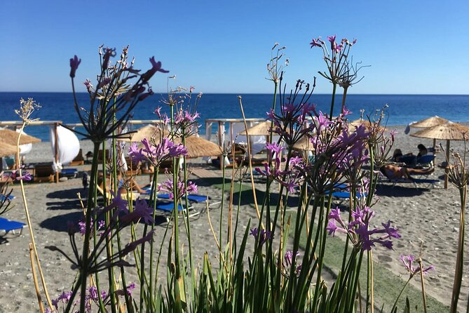 Chania Pink Beaches Private Tour: Elafonisi & Falassarna - Driving time, start time, and what a full day feels like