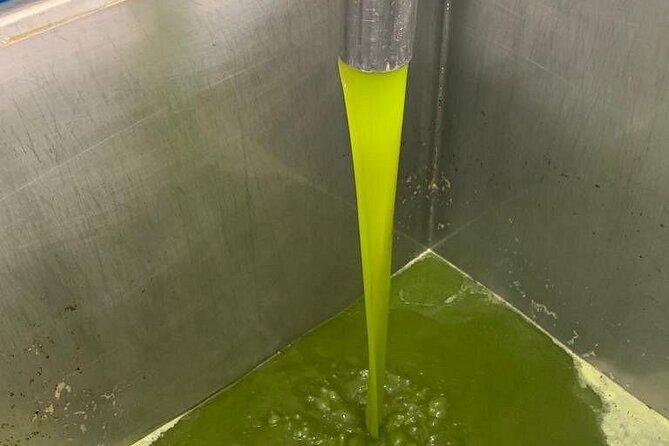 Chania Private Olive Oil Factory and Brewery Tour with Meal - Price and Logistics: Is $254.07 Worth It?