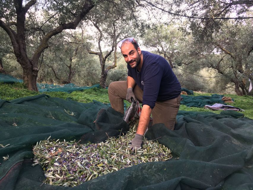Chania Private Olive Oil Tour: Oil Tasting & Villages Tour - Who This Tour Fits Best (and Who Might Prefer Something Else)