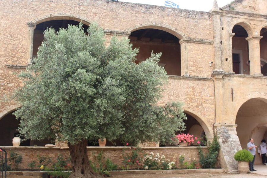 Chania Private Olive Oil Tour: Oil Tasting & Villages Tour - Setting Off From Chania: Private Transport and a Real Local Pace