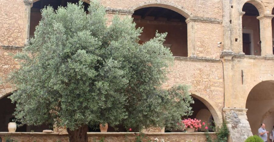 Chania Private Olive Oil Tour: Oil Tasting & Villages Tour - Why the Views and Valleys Matter in an Olive Oil Tour