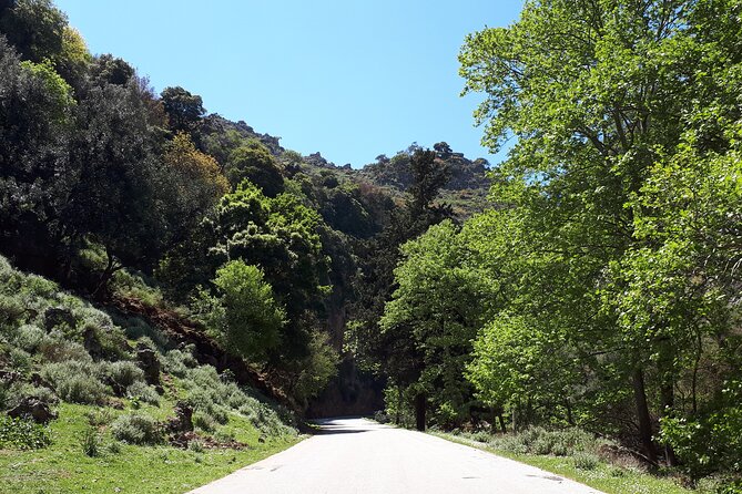 Chania Private Tour: Monastery, Scenic Gorge & Mountain Views - Zourva Lunch at a Family Taverna With Sea and Mountain Views
