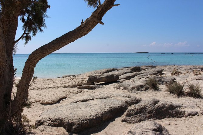 Chania Private Tour To Elafonissi and Falasarna - Who this Chania private beach tour suits best