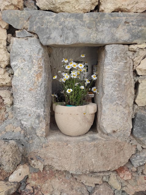 Chania: Private Walking Tour: History, Sights, Food & Senses - Venetian Harbour to Lighthouse: the best place to start a Chania story