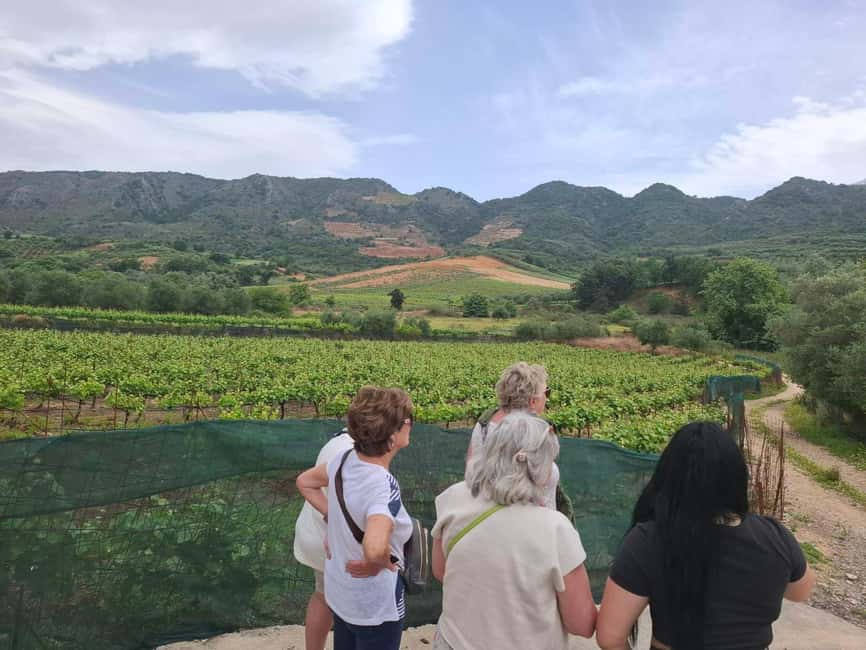 Chania Private Wine Tasting Tour & Theriso Village Visit - The schedule and how to plan around it