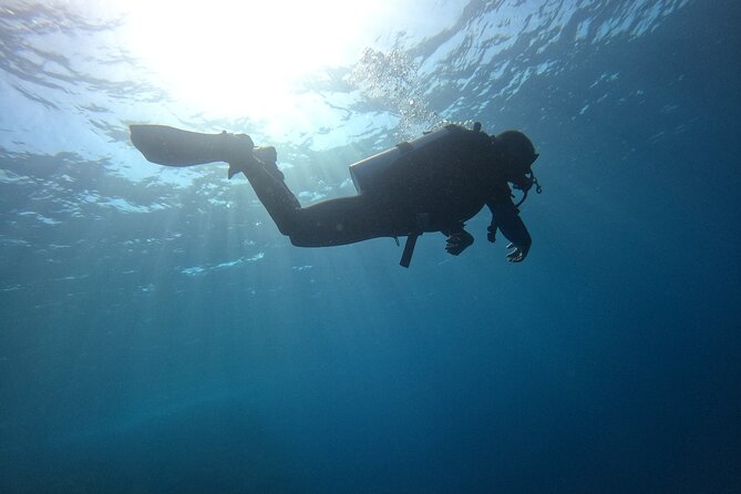 Chania Scuba Diving 2 Shore Dives(Receive Certification) - First underwater session (about 45 minutes): skills plus exploring
