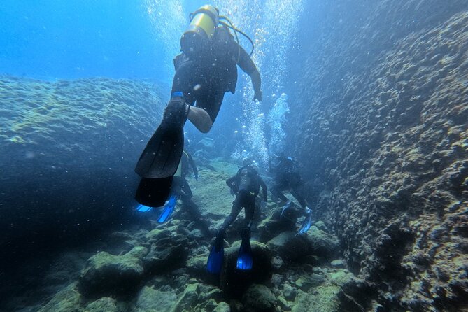 Chania Scuba Diving | Shore Dives | Certified Divers - Key highlights you should care about