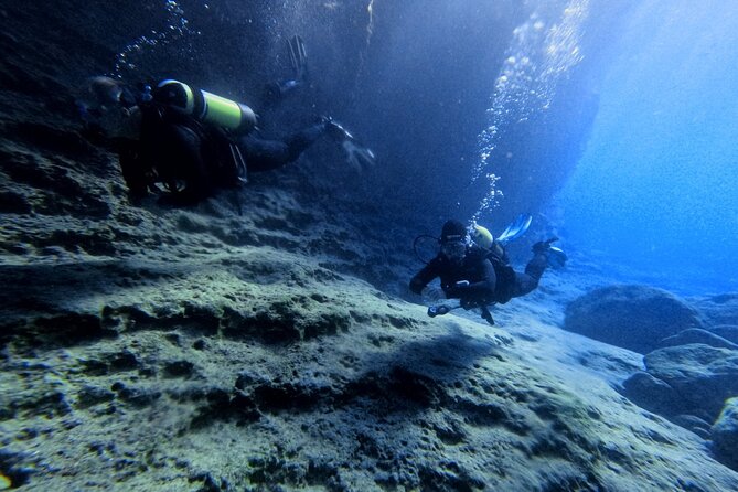Chania Scuba Diving | Shore Dives | Certified Divers - What the experience really gives you for the money