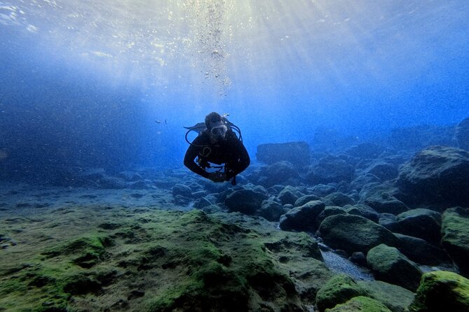 Chania Scuba Diving | Shore Dives | Certified Divers - The sheltered coastal underwater area: your marine-life checklist