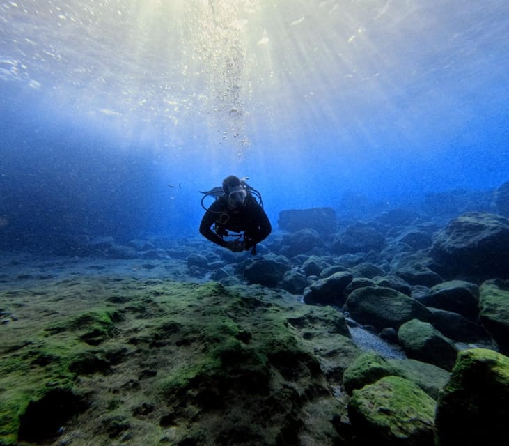 Chania Scuba Diving: Shore Dives for Certified Divers - Key highlights worth marking on your map