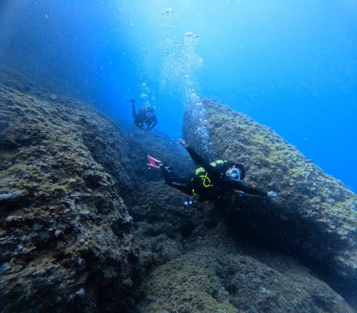 Chania Scuba Diving: Shore Dives for Certified Divers - What you’ll see underwater, and how to actually spot it