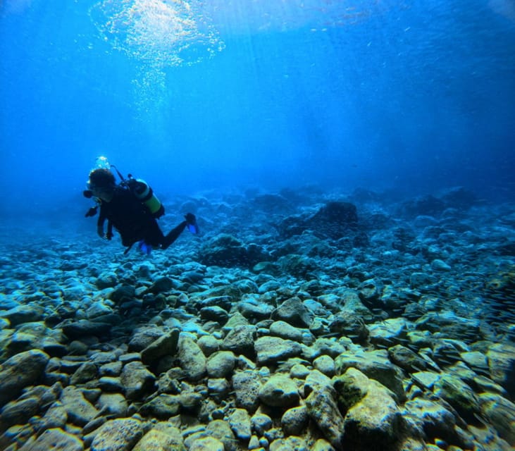 Chania Scuba Diving: Shore Dives for Certified Divers - How the 4-hour plan usually feels
