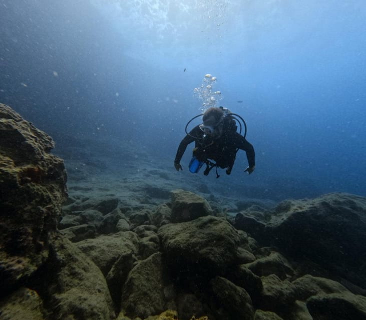 Chania Scuba Diving: Shore Dives for Certified Divers - Price and value: why $153 can make sense here