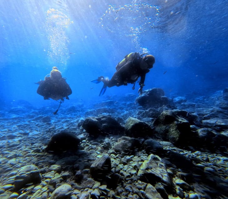 Chania Scuba Diving: Shore Dives for Certified Divers - From sheltered shore entry to a marine nursery vibe