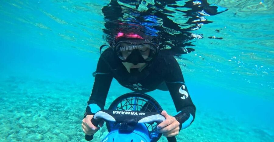 Chania: Sea Scooter Snorkeling boat tour - Marine Life Around Souda Bay, and How Guides Help You Find It