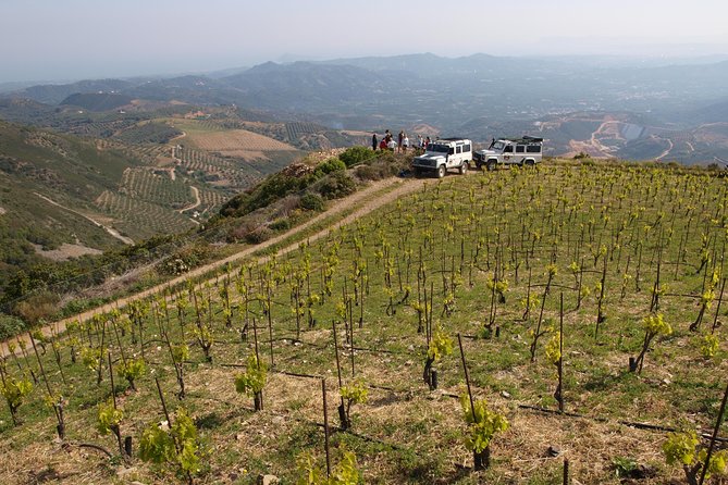 Chania Shore Excursion Off Road Vineyard and Winery Tour Half Day - Why This Vineyard Tour Feels Different From a Usual Shore Stop