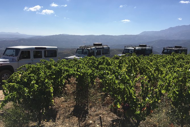 Chania Shore Excursion Off Road Vineyard and Winery Tour Half Day - What the Price Really Covers, and What It Does Not