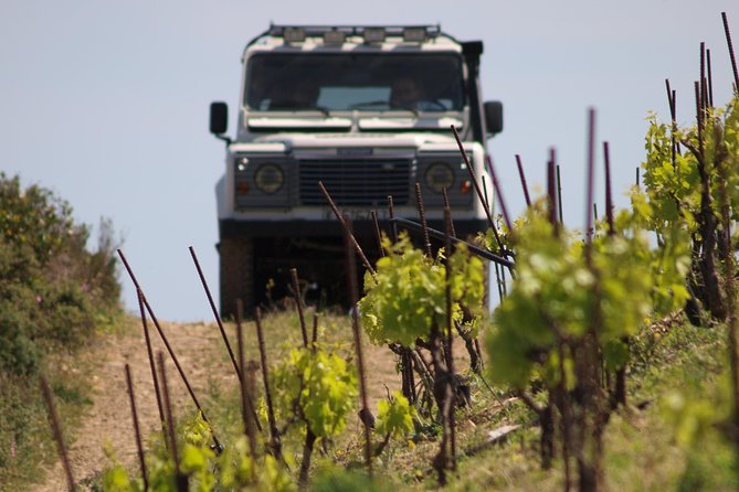Chania Shore Excursion Off Road Vineyard and Winery Tour Half Day - How Long It Takes: When You Should Book Around Shore Time