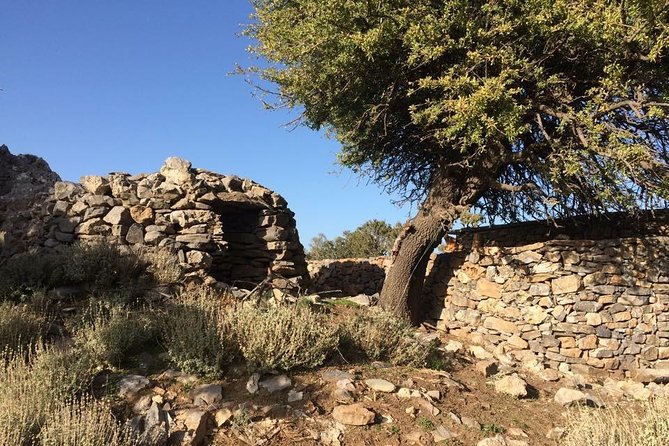 Chania Shore Excursion to the White Mountains - Price and Logistics: What You Get for $114.28