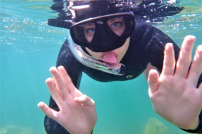 Chania Snorkeling Trip | From The Boat - Almyrida Launch Point: what a “from the boat” snorkeling day really means