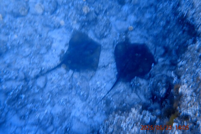 Chania Snorkeling Trip | From The Boat - Small-group attention in practice: up to 8 travelers, room to breathe, time to adjust