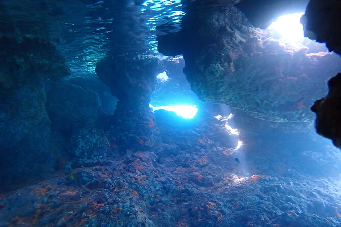 Chania Snorkeling Trip | From The Boat - Price and value: is $90.74 worth it?