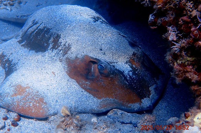 Chania Snorkeling Trip | From The Boat - How to make your snorkel day smoother (and get better underwater time)