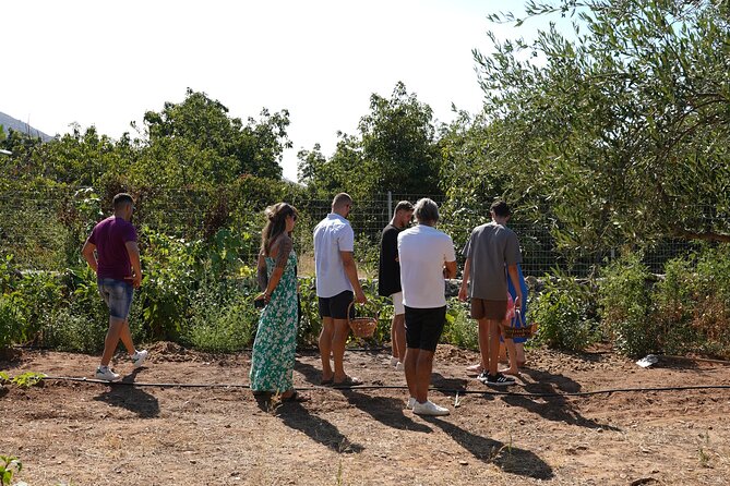 Chania Sourdough Bread Class - Olive Oil Tasting - The Resting Break: Olive Grove Time and Oil-Herb Mixing Secrets