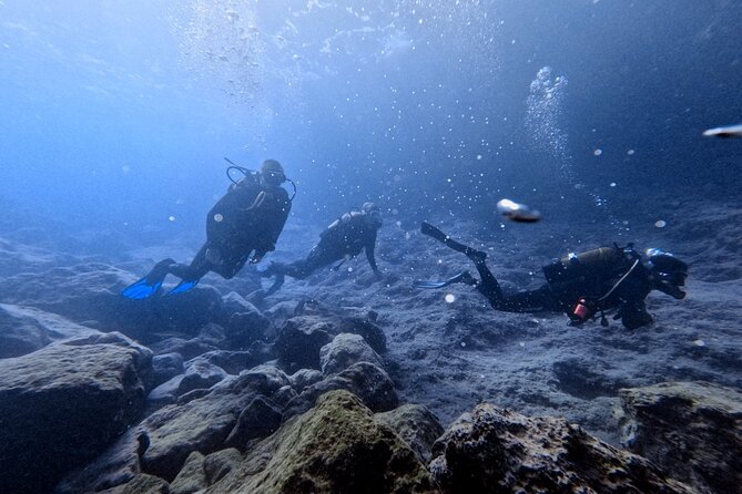 Chania | Try Scuba Diving | Introduction Dive - Key things to know before you go