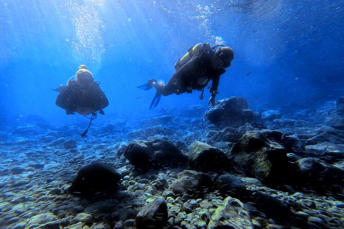 Chania | Try Scuba Diving | Introduction Dive - Underwater photos and video: a keepsake you can actually use