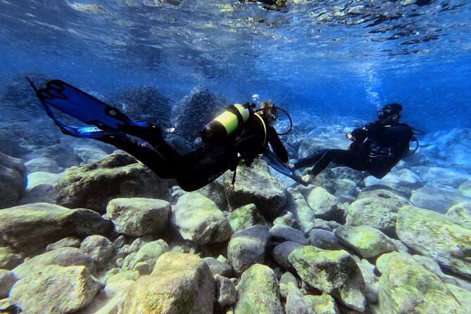 Chania | Try Scuba Diving | Introduction Dive - Heading to the sheltered underwater nursery near Chania