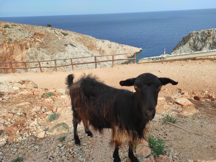 Chania Villages Private Tour: Explore the Authentic Crete! - Ottoman Rule on Crete: Castles, Chateau Stops, and Concrete Learning