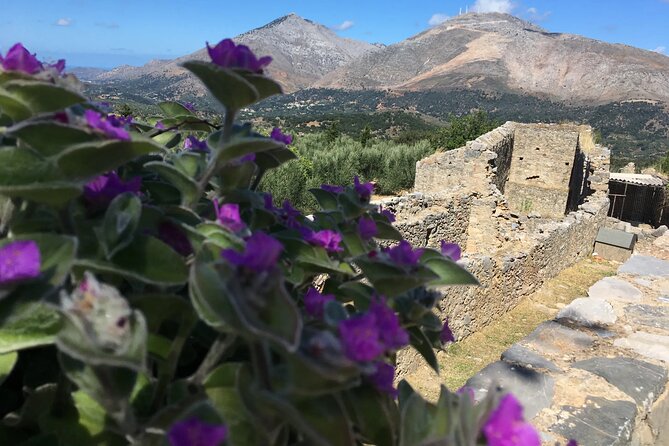 Chania White Mountains Private Tour: From Sea to Summit - Key Highlights Worth Booking For