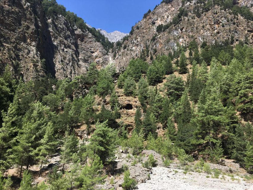 Chania White Mountains Private Tour: From Sea to Summit - Timing, Roads, and How to Pack Smart