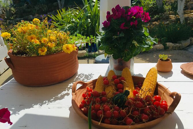 Chania White Mountains Private Tour: From Sea to Summit - Pickup, Ride Up, and Organic Fruit From a Private Farm