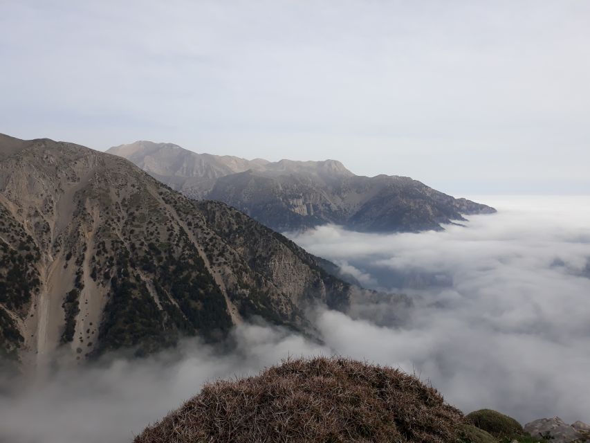 Chania: White Mountains Safari Tour with Lunch and Tastings - Pickup zones around Chania, and how the day timing feels