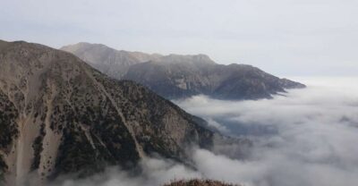 White Mountains Safari Tour with Lunch and Tastings