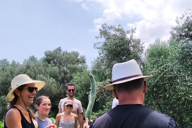 Cooking Lesson in Heraclion - Orchard and Vegetable Harvest: Cutting Fresh Ingredients You Pick