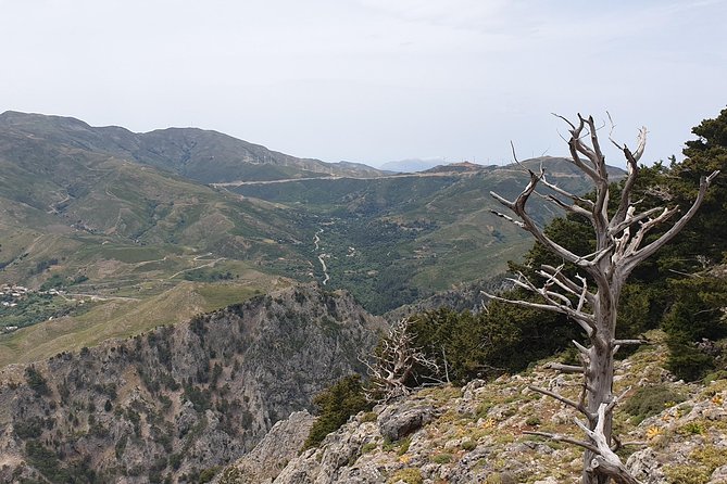 Cretan Safari – 4x4 Adventure to Preveli Beach with Lunch - Preveli Beach: palms, the river delta, and swim time