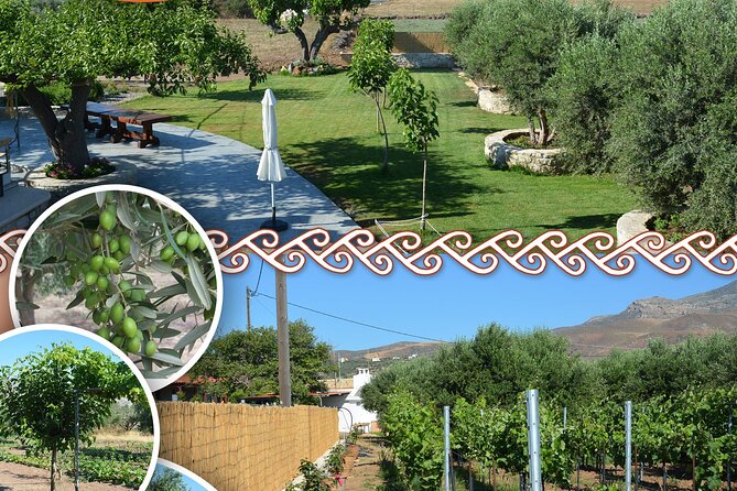 Cretan Traditional Cooking Lessons - Key Things to Know Before You Go