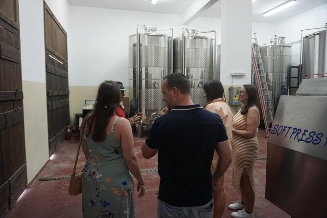 Cretan Wines & Olive oil tour - The treasures of Crete - Stironas raki distillery: the show, the science, and the lunch