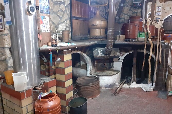 Cretan Wines & Olive oil tour - The treasures of Crete - What the tour is like in real life: pacing, group size, and comfort