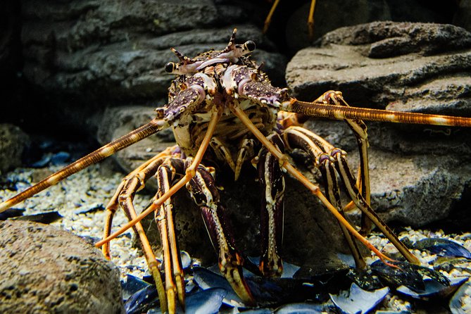 CRETAquarium Entrance Ticket in Crete - Facilities and comfort, what makes the visit easier