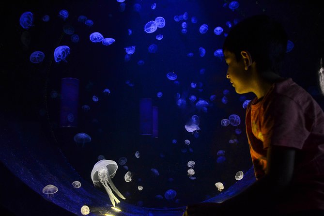 CRETAquarium Entrance Ticket in Crete - Getting your ticket used fast, no hassle at the desk
