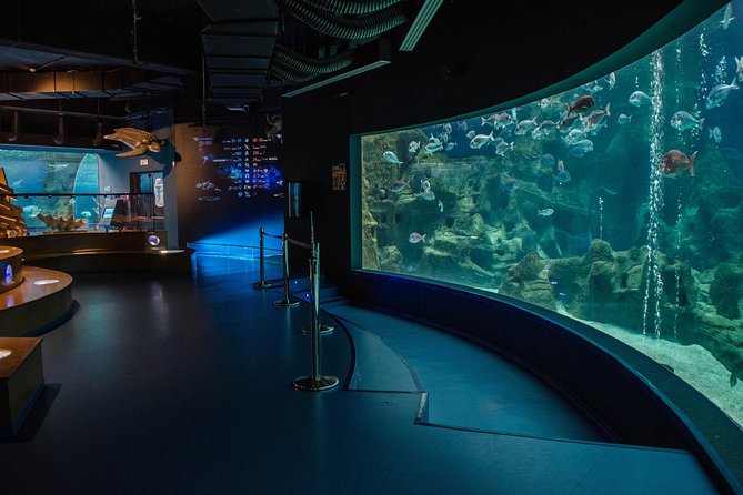 CRETAquarium Entrance Ticket in Crete - Who should book CRETAquarium, and who might skip it?