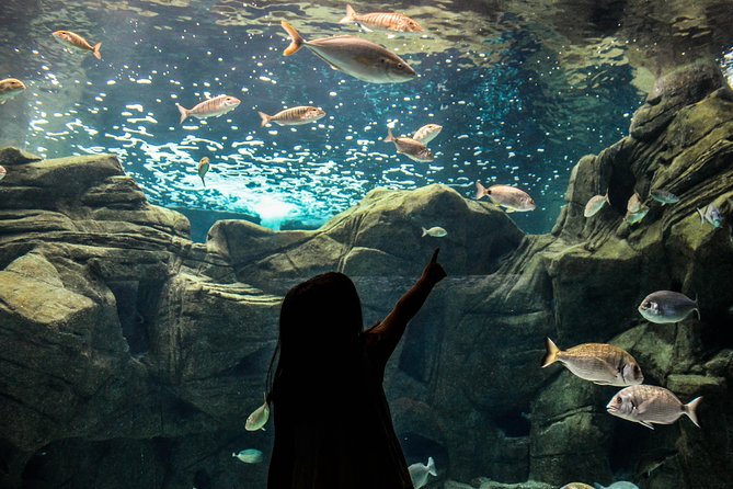 CRETAquarium Entrance Ticket in Crete - Price and ticket value, why it is a smart Heraklion stop