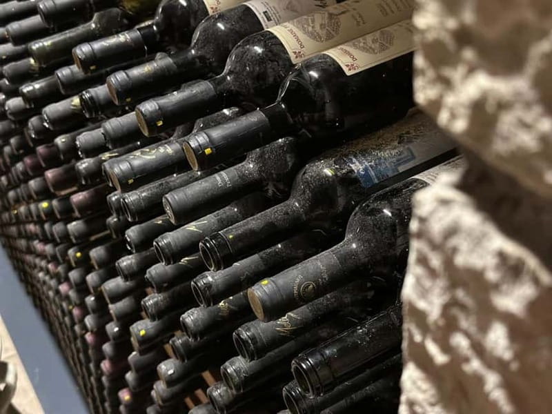 Crete: 2 Wineries Private Tour with Wine Tasting & Lunch - Who this tour suits (and who might want a different style)